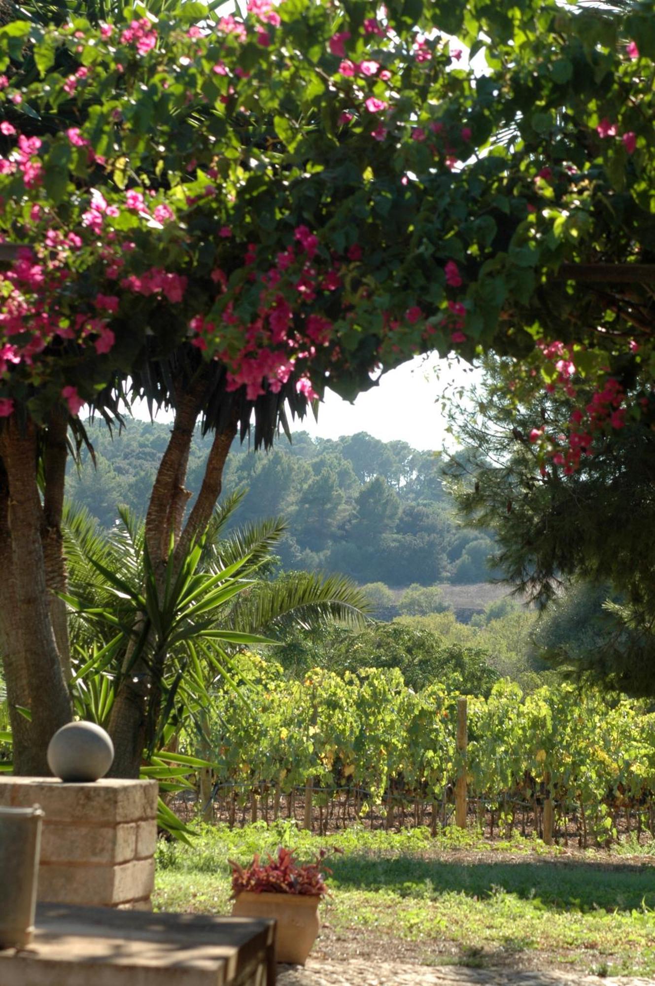 Oliver Moragues Grandhouse & Vineyard Algaida  Esterno foto